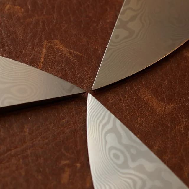 Shirogorov, Seasons V
