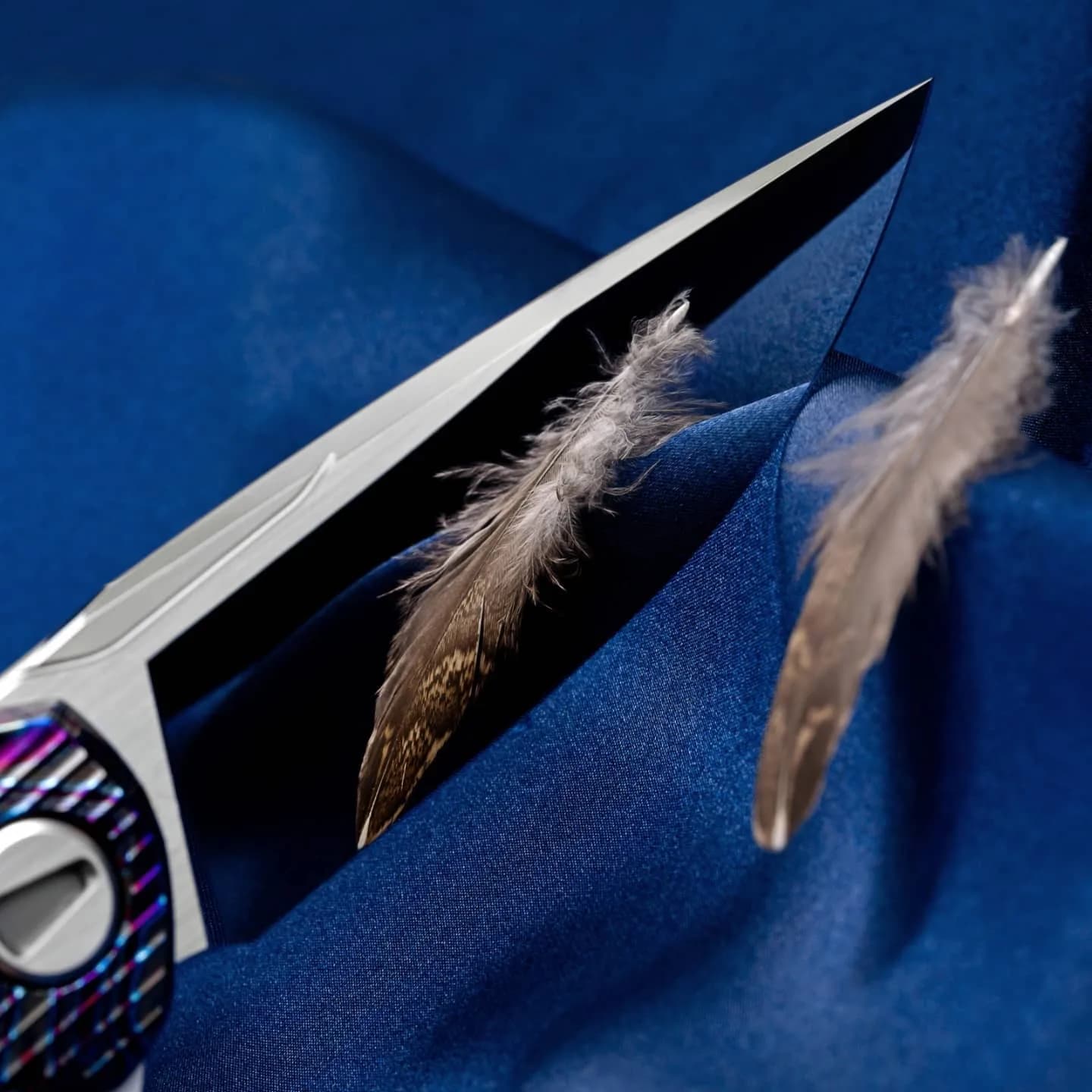 Shirogorov, Stellar